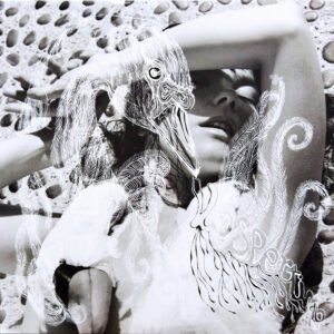 Björk – Vespertine