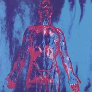 Nirvana – Sliver