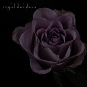 Crippled Black Phoenix – Painful Reminder B/W Dead Is Dead