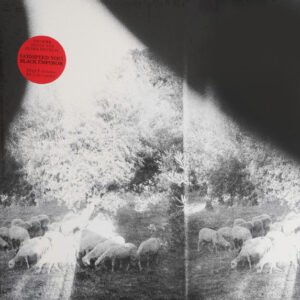 Godspeed You Black Emperor! – Asunder, Sweet And Other Distress