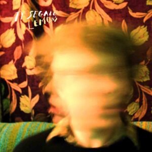 Ty Segall – Lemons