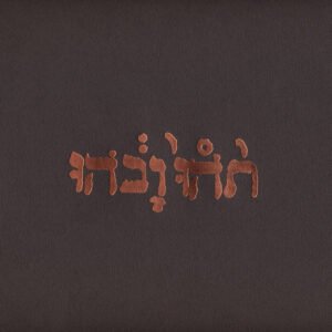 Godspeed You Black Emperor! – Slow Riot For New Zero Kanada E.P.