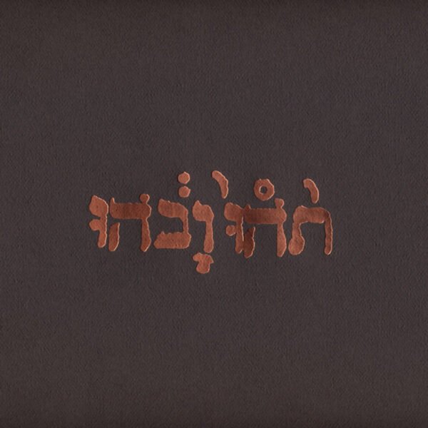 Godspeed You Black Emperor! - Slow Riot For New Zero Kanada E.P.