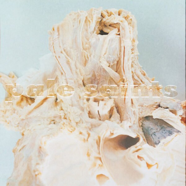 Pale Saints - In Ribbons (30th Anniversary Re:Masters)