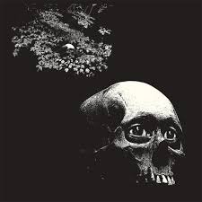 Thee Oh Sees – A Foul Form