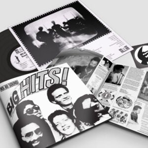 MX-80 Sound – Big Hits And Other Bits