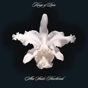 Kings Of Leon – Aha Shake Heartbreak