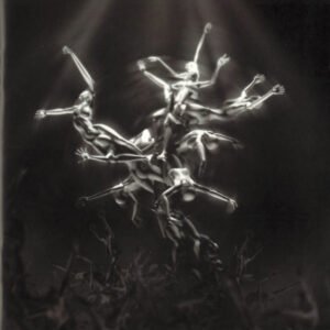 Lisa Gerrard – The Silver Tree