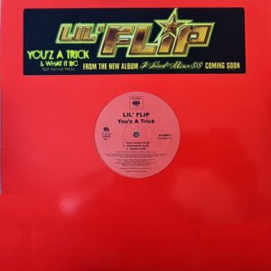 Lil’ Flip – You’z A Trick