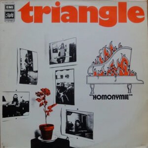Triangle – Homonymie
