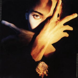Terence Trent D&rsquo;Arby – Terence Trent D&rsquo;Arby&rsquo;s Neither Fish Nor Flesh: A Soundtrack Of Love, Faith, Hope And Destruction