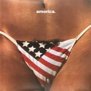The Black Crowes – Amorica