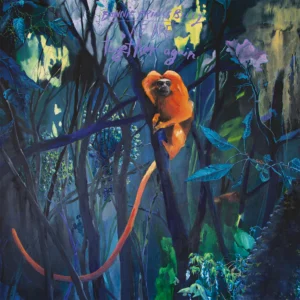 Bonnie « Prince » Billy – We Are Together Again