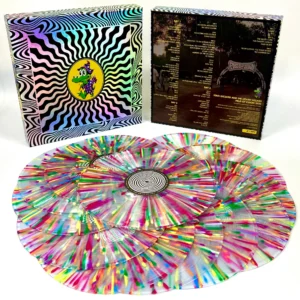 King Gizzard And The Lizard Wizard – Field of Vision &rsquo;25