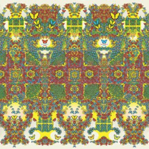 King Gizzard And The Lizard Wizard – Kelebek 3000