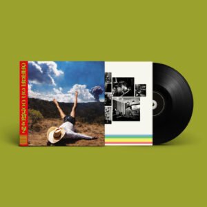 Geese – 3D Country