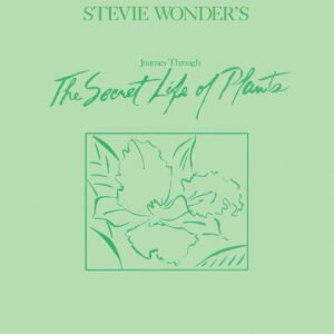 Stevie Wonder – Journey Through The Secret Life Of Plans
