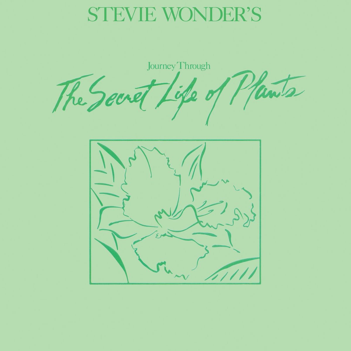 Stevie Wonder - Journey Through The Secret Life Of Plans