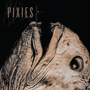 Pixies – Complete B Sides